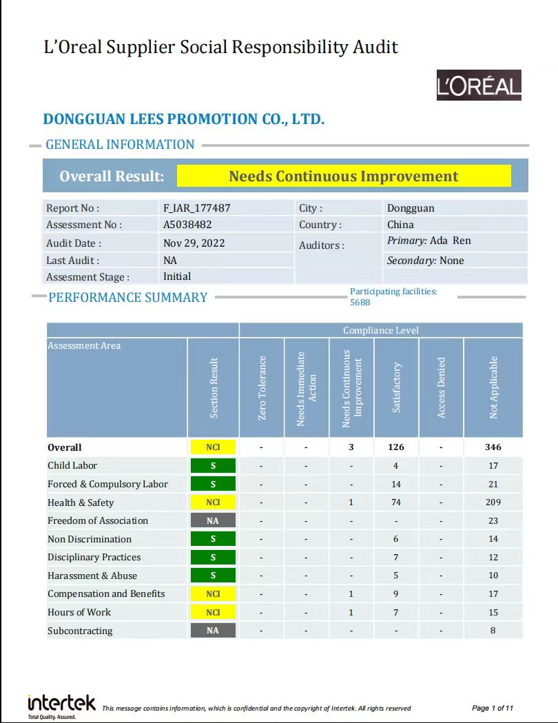 L'oreal audit report